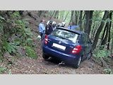 Kuriózní nehody z českých silnic. Řidič ve věku 78 let se rozhodl vjet do lesa po stezce pro pěší.