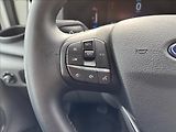 Ford Transit 2,0 EcoBlue 121kW L4 DPH - náhled 26