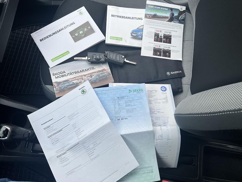 Škoda Fabia 1.4TDI 66KW,DSG,FRONT ASSIST - fotka 39 z 46