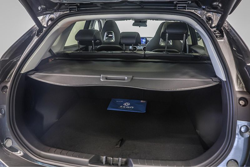 Dongfeng T5 EVO (2026) Dragon Edition - fotka 26 z 27