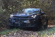 Cupra Terramar 2.0 TSI.