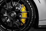 Porsche 911 GT2 RS/WEISSACH/CARBON/MAGNESI - náhled 19