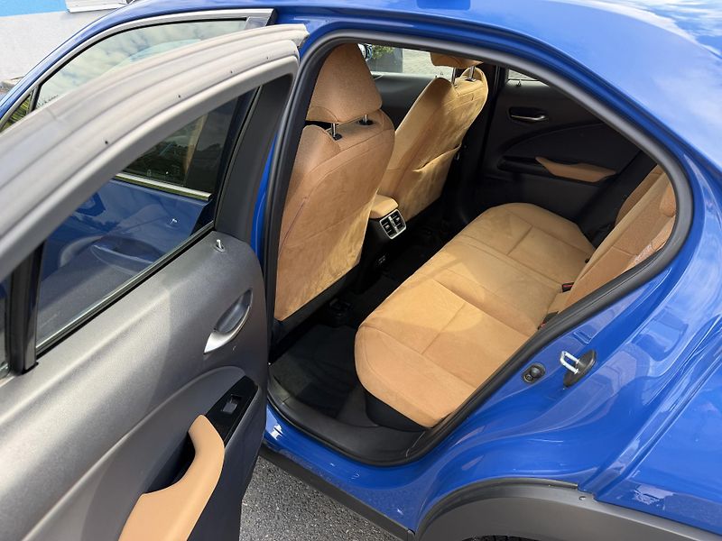 Lexus UX 250h 2,0i 112kW hybrid automat navi - fotka 19 z 22