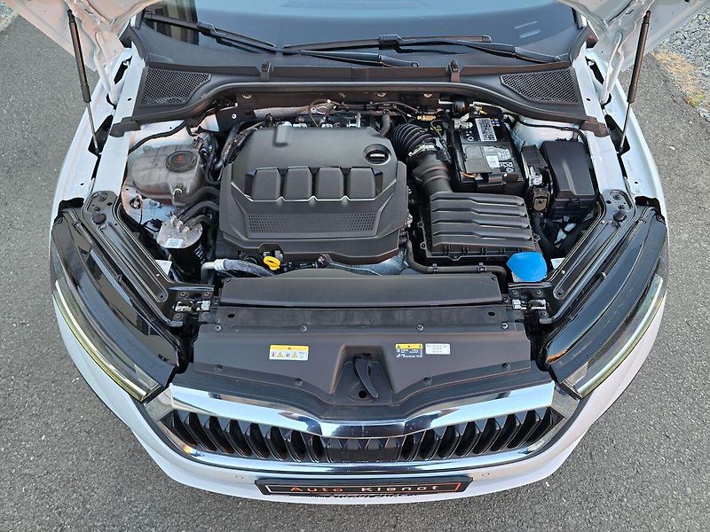 Škoda Octavia 2.0TDi 110kW DSG 1.Maj. ČR - fotka 39 z 39