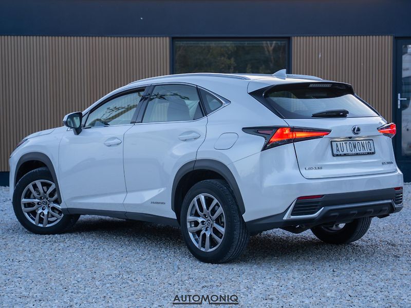 Lexus NX 300h (2020) 2.5 Hybrid AWD adaptív, Navi - fotka 15 z 19