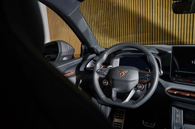 Cupra Terramar VZ 2.0TSI 195kW Web Taž ZÁRUKA - fotka 18 z 34