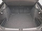 Škoda Octavia (2016) 2.0 TDI, Serv.kniha, Tempomat - náhled 13