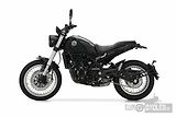 Benelli Leoncino 500 Trail (2026) 35kW - náhled 2