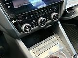 Škoda Octavia 2.0 TDI 4x4 DSG / 135 kW RS - náhled 21