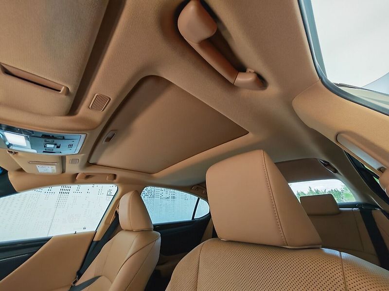 Lexus ES 300h Limited Edition - fotka 22 z 37