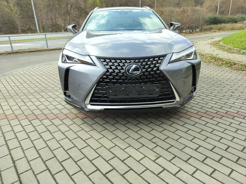 Lexus UX 250h BUSINESS edition,alcantara - fotka 2 z 24