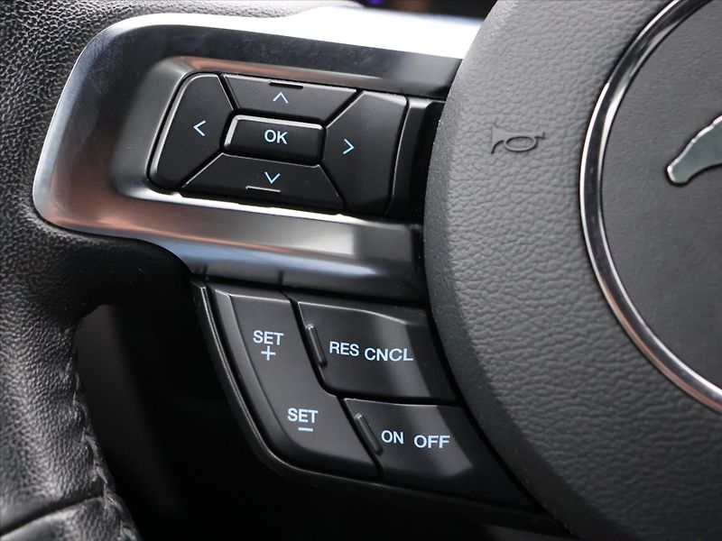 Ford Mustang 5,0 5.0 TI-VCT 324kW V8 GT CZ - fotka 18 z 36