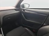 Škoda Octavia (2015) RS 2.0 TDI, Automat - náhled 8