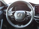 Škoda Octavia (2022) 2.0 TDi, ČR, Style, LED - náhled 14