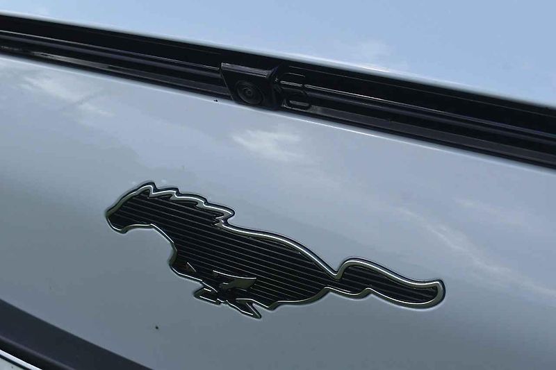Mustang jsme ukázali i koním chovaným na farmě
