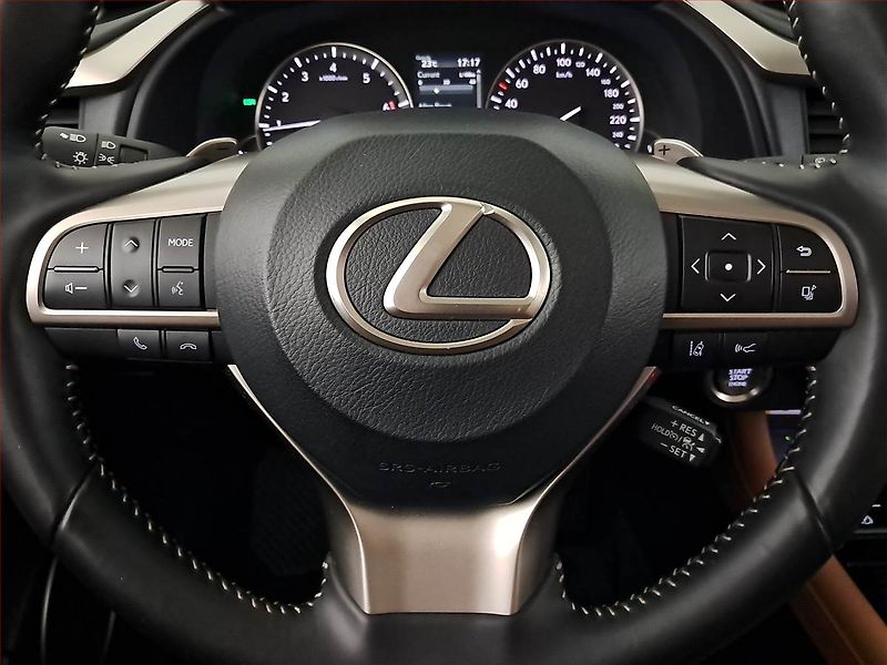 Lexus RX 400h (2022) 300 AWD - fotka 19 z 24