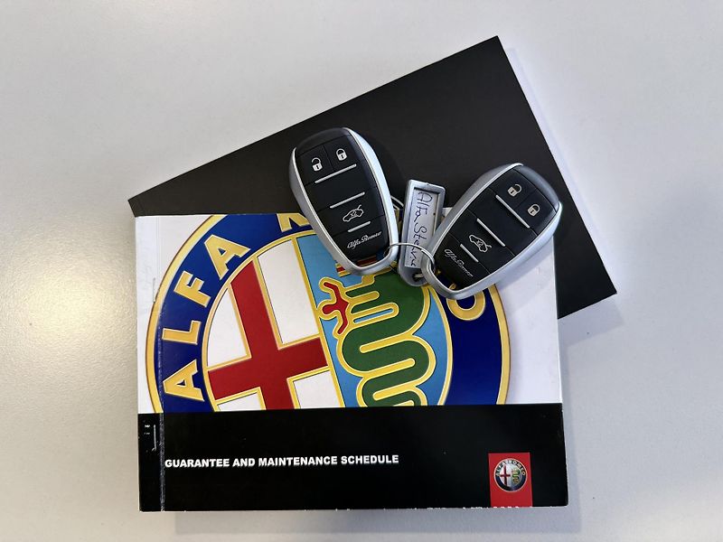 Alfa Romeo Stelvio 2,0T Q4 280PS 4x4 Automat - fotka 36 z 40
