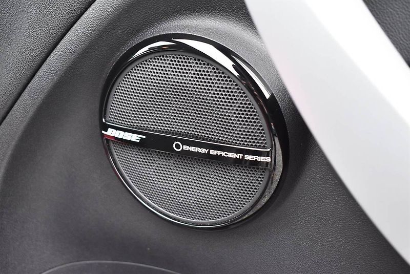 Renault Mégane 1,9 DCi BOSE,96KW,NAVI,PĚKNÝ - fotka 11 z 17