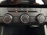 Škoda Octavia (2019) Ambition 1.6 TDI, Tempomat - náhled 13