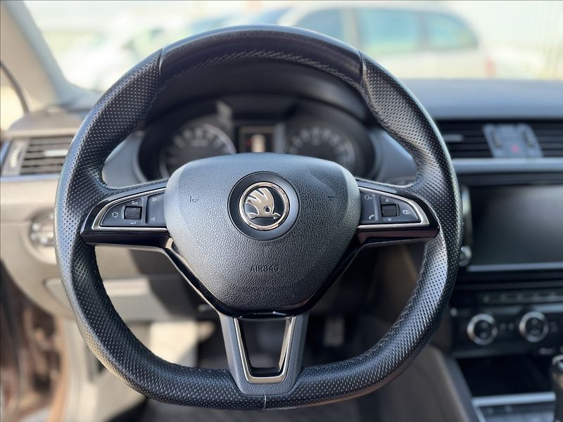 Škoda Octavia TDI DSG F1 NAVI, EL.KUFR - fotka 12 z 34