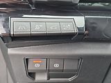 Renault Ostatní Iconic 1.3 MHEV 116 kW - náhled 22