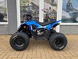 Linhai (2026) ATV 110 - náhled 1