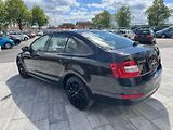 Škoda Octavia (2014) Ambition 1.6 TDI 77kW - náhled 7
