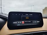 Hyundai Santa Fe 2.2 CRDI/142kW Luxury PNM DCT - náhled 25