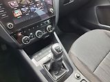 Škoda Octavia (2020) Combi Style 2,0TDi 110kW - náhled 22