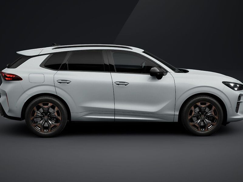 Cupra Terramar (2026) 2.0TSI 150kW DSG 4WD - fotka 4 z 6