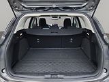 Ford Focus (2023) TITANIUM 1.5 EcoBlue 84kW, ČR, - náhled 26