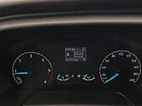 Ford Transit (2021) 2.0 EcoBlue, Sklápěč - náhled 9