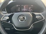 Škoda Fabia (2024) Top Selection 1.0TSi 85kW 6° m - náhled 24