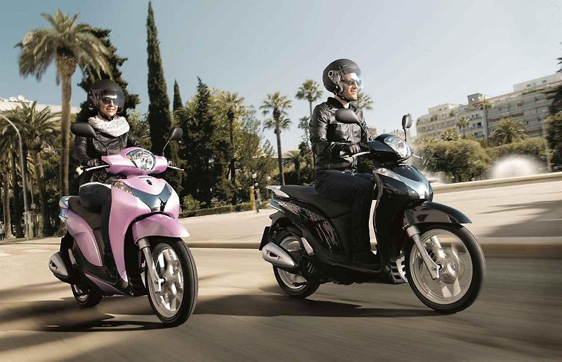 Zákon nařizuje pouze helmu, ve vlastním zájmu však při jízdě chraňte nejen hlavu, ale celé tělo.