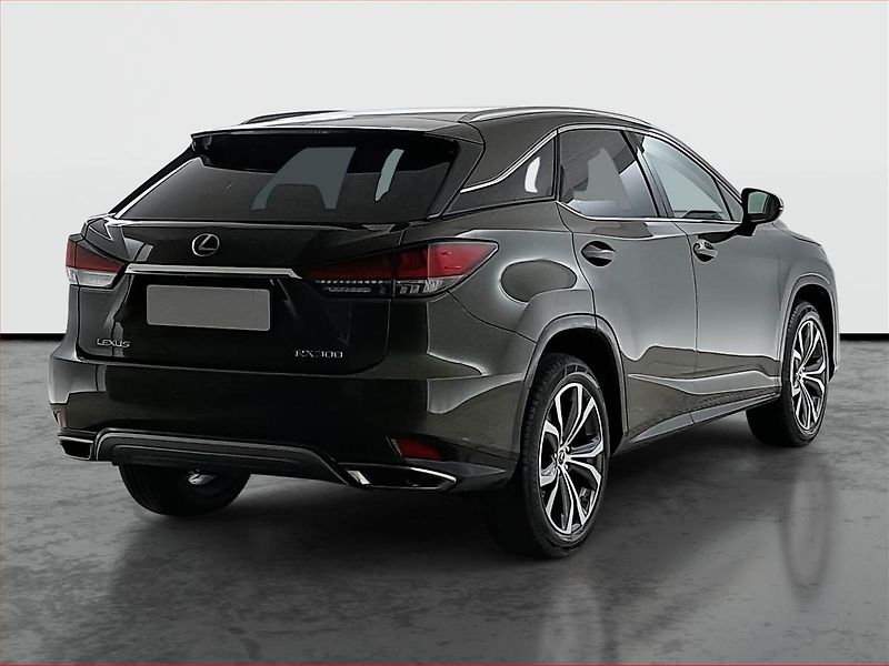 Lexus RX 400h (2022) 300 AWD - fotka 5 z 24