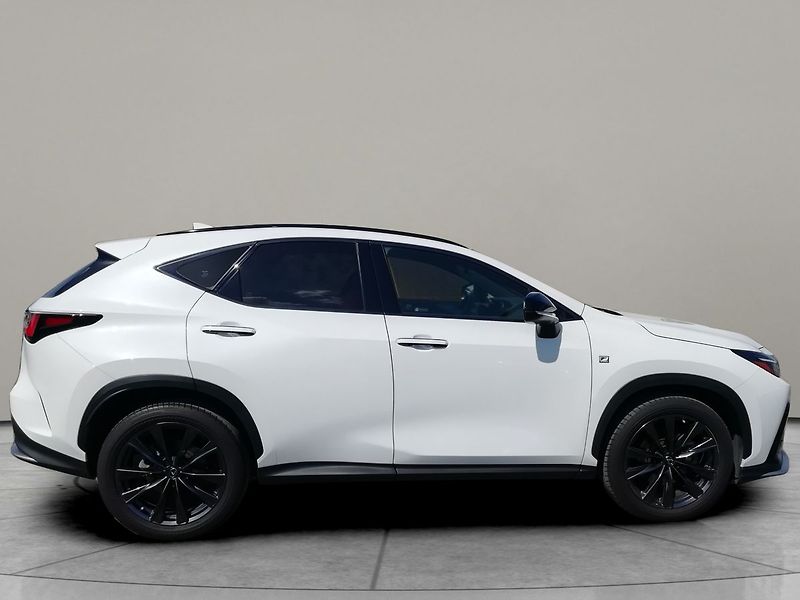 Lexus NX 350h F-Sport 4x4 - fotka 3 z 23