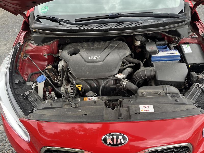 Kia Ceed (2015) 1,6 GDi 99 Kw ČR!!! - fotka 17 z 19