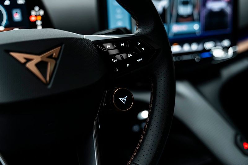 Cupra Tavascan Extreme - fotka 16 z 31