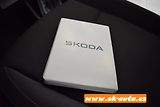 Škoda Karoq 2.0 TSI DSG 110 kW 2023-DPH - náhled 46