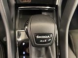 Škoda Kodiaq 2,0 TDI 110kW DSG 4x4 Style Pl - náhled 18