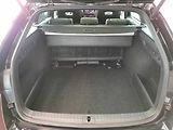 Škoda Octavia (2022) Combi Sportline 2.0 TSI 4x4 (1 - náhled 26