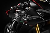 Ducati Panigale V4 S (2021) SP - náhled 38