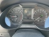 Škoda Octavia 2,0 TDi 135kw DSG 4x4 Klimatr. - náhled 14