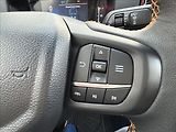 Ford Ranger 3,0 EcoBlue 177 kW V6 Wildtrak - náhled 18