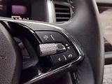 Škoda Kodiaq (2024) Ambition 2,0 Tdi 110 kw DSG - náhled 30