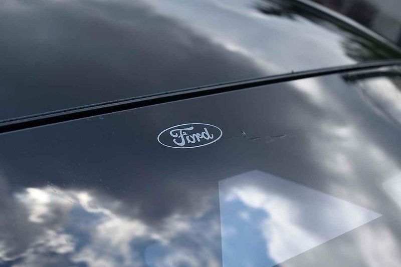 Mustang jsme ukázali i koním chovaným na farmě