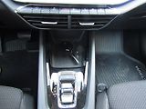 Škoda Octavia (2022) 2.0 TDI 85kW DSG  TOP QUALITY - náhled 38