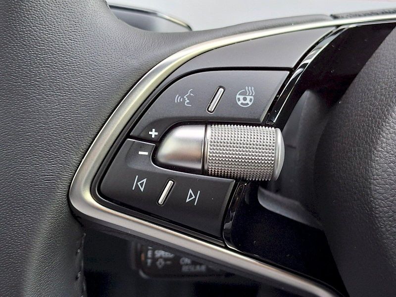 Škoda Elroq (2025) Premium Lodge 50 125kW - fotka 29 z 35