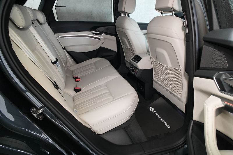Audi e-tron 55 300kW Ventilace Matrix 360 - fotka 14 z 48