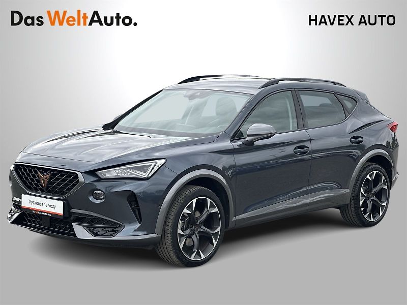 Cupra Formentor (2024) 2.0 TSI 4Drive DSG - fotka 1 z 35